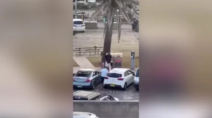 Аустралиядағы атыстан 16 адам қаза тапты