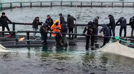 В Мангистауской области реализуется первый в Центральной Азии проект морской аквакультуры