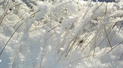 Қар жауып, боран соғады:  «Қазгидромет» дауылды ескерту жариялады