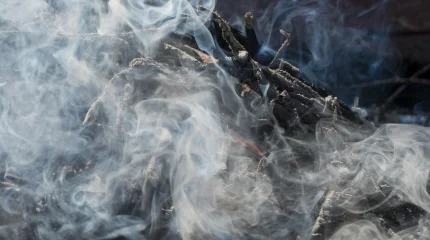 20 адам эвакуацияланды