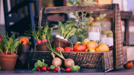 В Казахстане временно расширят список продуктов с регулируемыми ценами