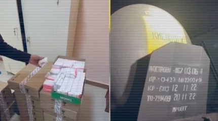 Медицина саласында заң бұзған 166 қызметкер жауапқа тартылды