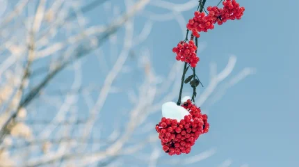 Зима будет суровой: прогноз погоды на 18 декабря 2025 в Астане, Алматы и Шымкенте