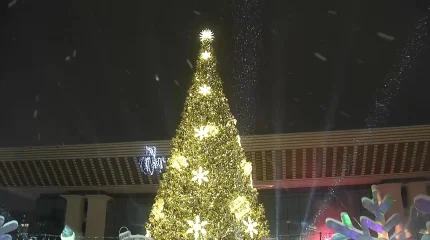 Алматыда бас шыршаның шамы жағылды