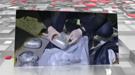 Крупную партию наркотиков пытались провезти через границу в Жамбылской области