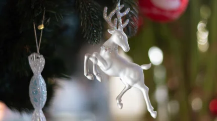 Новогодние ловушки: полиция предупреждает о схеме мошенничества с продажей ёлок