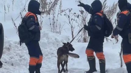 Алматы тауларында құтқарушылар жас қыздың мәйітін тапты