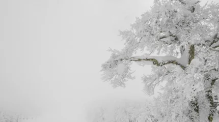 16 облыста дауылды ескерту жарияланды