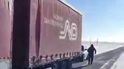 Большегруз с 45 лошадьми попал в беду из-за морозов в Костанайской области