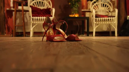 Мешок риса, iPad от Зеленского и питоновые туфли: Мелони распродаёт подарки лидеров