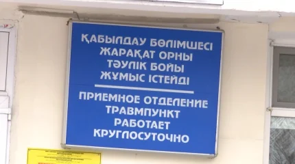 Десятилетний павлодарец пять лет жил с обломком ветки в голове