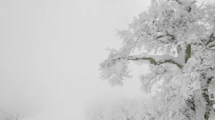 Күн күрт суытады