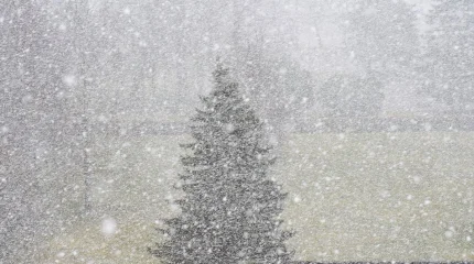 В Астане метель, в Алматы и Шымкенте туман