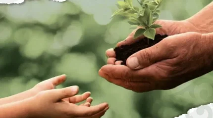 Новые заповедники, мусорозаводы и «Таза Қазақстан»: названы топ-10 экособытий 2025 года