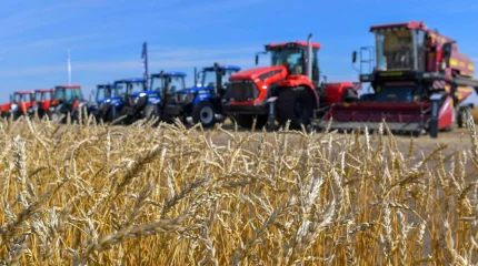 Ауыл шаруашылығы өнімдерінің жалпы көлемі 6,1%-ға артты