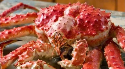 Великобритания запретит варить лобстеров и крабов в кипятке