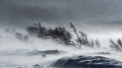 Снег, метели и гололёд: Казахстан накроет непогода в выходные