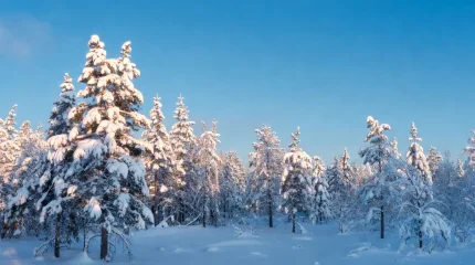 Снег и похолодание: прогноз погоды на 27 декабря для Астаны, Алматы и Шымкента