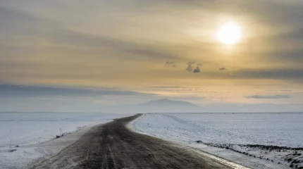 Два иностранца пострадали на трассе в области Улытау