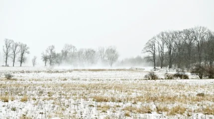 Опасные метеоусловия: МЧС предупреждает о снегопадах и сильном ветре
