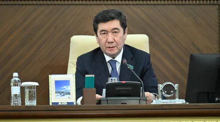 Итоговое пленарное заседание Мажилиса: 2025 год под знаком реформ и социальной поддержки