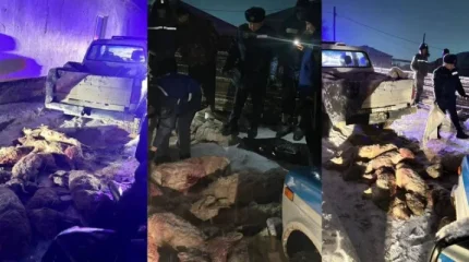 Маңғыстау облысында заңсыз киік тасымалдаған күдікті ұсталды