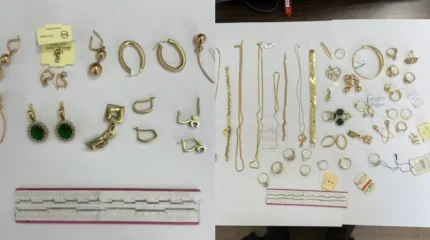 Квартирную кражу на 8,5 млн тенге раскрыли полицейские в Туркестанской области