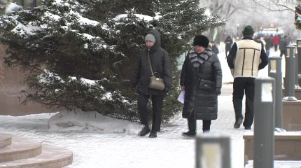 «2025 жыл елімізде саяси реформалардың жаңа кезеңінің басталуымен есте қалды», - Е. Қарин