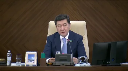 "Фарм-мафия", 100 законов и жёсткие оценки: чем запомнился Мажилис в 2025 году