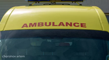 «4 мың теңге берген». Атырауда әкімдік ағаштан құлаған қызметкерге қатысты мәлімдеме жасады