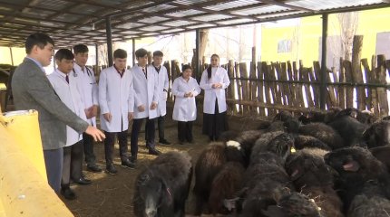 Сельхозспециальности набирают популярность у молодёжи в Актюбинской области