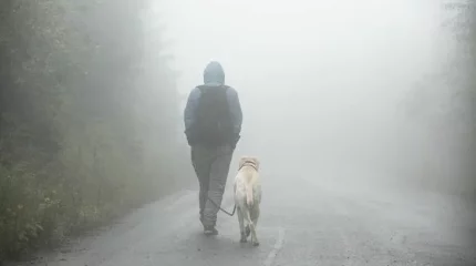 Туман в Астане, гололед в Алматы и Шымкенте: погода на вторник, 11 февраля
