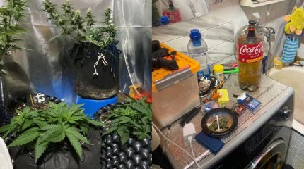 Иностранец организовал фитолабораторию в квартире, где проживали его пятеро детей