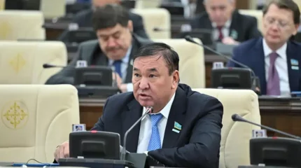 «СЭС балабақшаларды жағалап жүр»: депутат елдегі бақша иелері айыппұл төлеу үшін несие алып жатқанын айтты