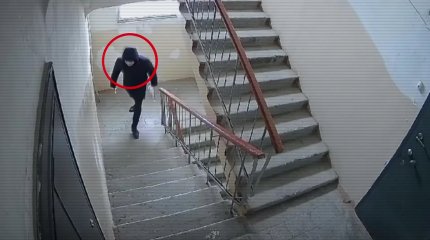 Ішкі істер министрлігі қоршаған ортаны ластап, бейнебақылау камерасына түсіп қалған құқық бұзушыларды көрсетті