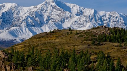 Землетрясение в 8 баллов произошло на Алтае