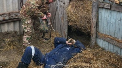 Мужчину придавило 300-килограммовым рулоном сена в ЗКО