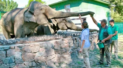 Алматыдағы хайуанаттар бағы басқа қалаға көшіріледі деген ақпарат тарады