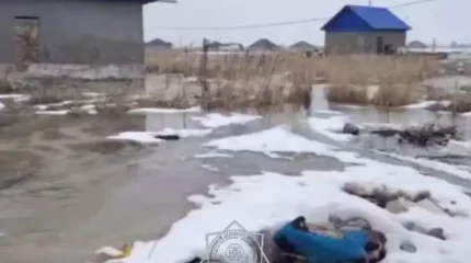 Алматы облысында белгісіз біреулер бірнеше үйді су астында қалдырған
