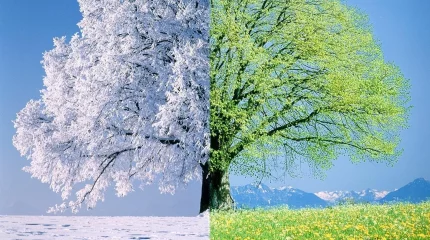 Морозы на севере, весна на юге: прогноз погоды на три дня