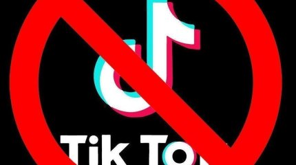 Ограничить ТiкТок в Казахстане предложили мажилисмены