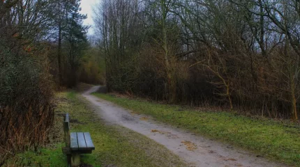 Алматы облысында күзде жоғалған әйелдің денесі табылды