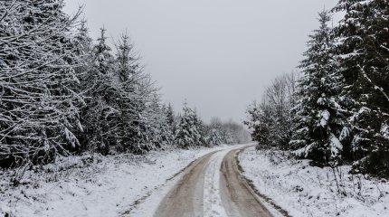 Движение ограничили на дорогах в двух областях Казахстана