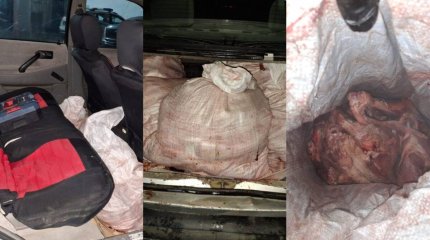 Қызылорда облысында браконьерден 14 қап киік еті тәркіленді