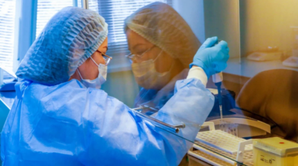 Қытайда жарқанаттардан жаңа коронавирус анықталды