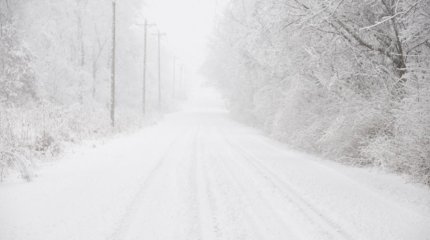 Сотрудники МЧС спасли иностранного гражданина