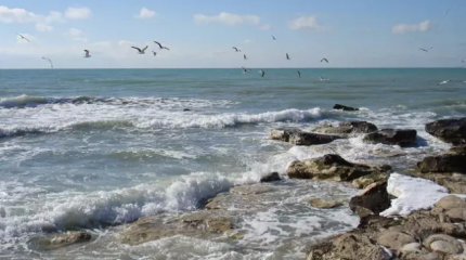 На углубление Каспия в акватории порта Актау потратят более 42 млрд тенге