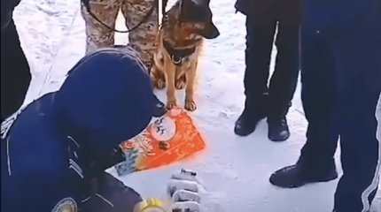 Студент и наркокурьер пытались перебросить в колонии ВКО телефоны и марихуану