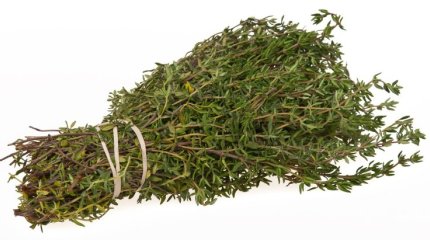 Павлодарлық ғалымдар дәрілік өсімдіктің генетикалық құпияларын ашты