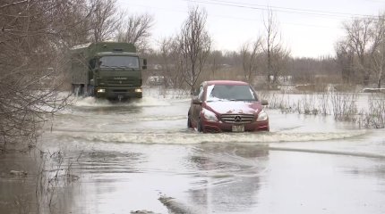 Шымкент тұрғындары суға түсіп, гүл теріп жүр